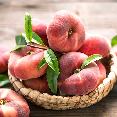 Персик Інжирний Сатурн зображення 1 артикул 4225