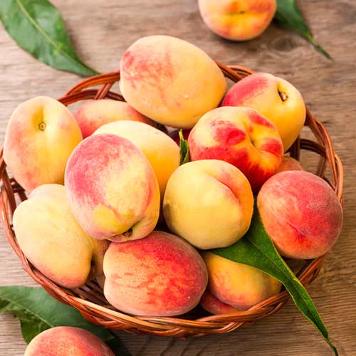 Персик Топ Світ зображення 1 артикул 4233