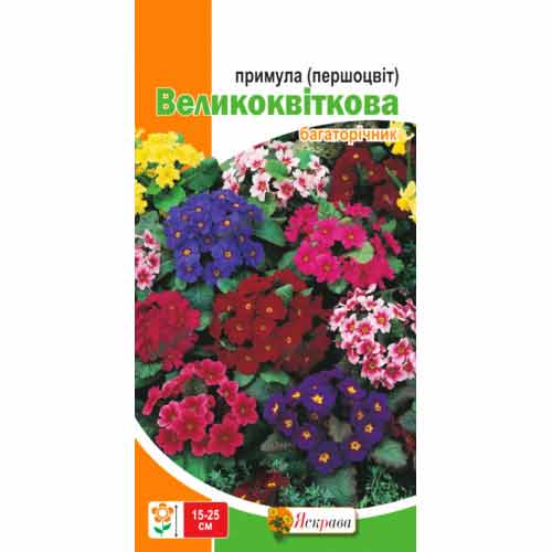 Первоцвіт (примула) великоквітковий, суміш забарвлень Яскрава артикул фото 1 Первоцвіт (примула) великоквітковий, суміш забарвлень Яскрава зображення 1 артикул 72440