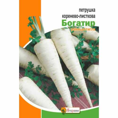 Петрушка коренево-листкова Богатир Яскрава зображення 1 артикул 99978