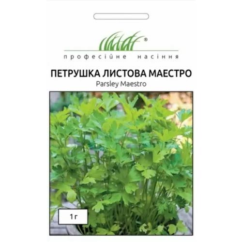 Петрушка листовая Маэстро Профессиональные семена рисунок 1 артикул 65495