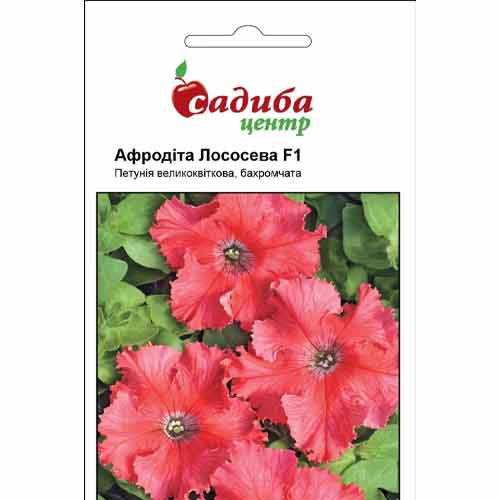 Петунія Афродіта лососева F1 Садиба центр зображення 1 артикул 89553