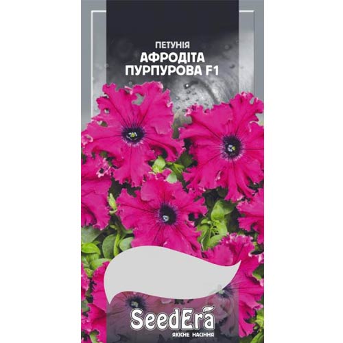 Петуния Афродита пурпурная F1 Seedera рисунок 1 артикул 77074
