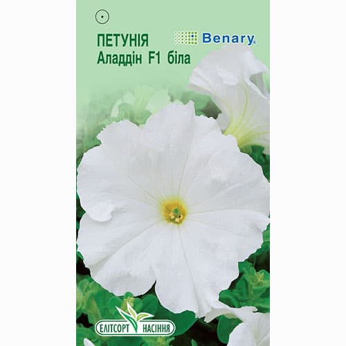 Петуния Алладин белая F1 Элитсорт артикул фото 1 Петуния Алладин белая F1 Элитсорт рисунок 1 артикул 90583
