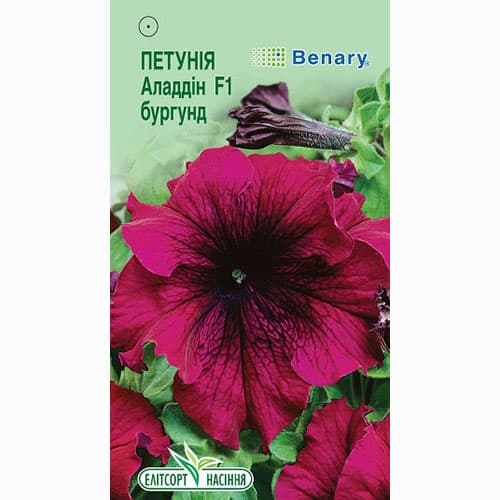 Петунія Аладдін Бургунді F1 Елітсорт зображення 1 артикул 90585