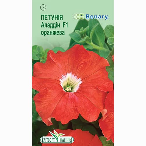 Петуния Алладин оранжевая F1 Элитсорт артикул фото 1 Петуния Алладин оранжевая F1 Элитсорт рисунок 1 артикул 90589