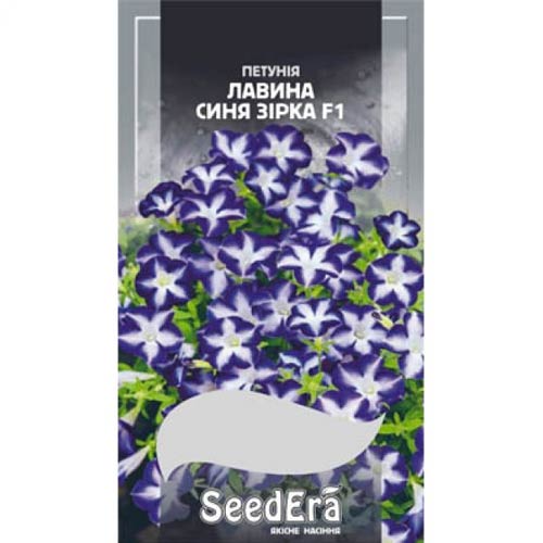 Петуния Лавина Синяя звезда F1 Seedera рисунок 1 артикул 72450
