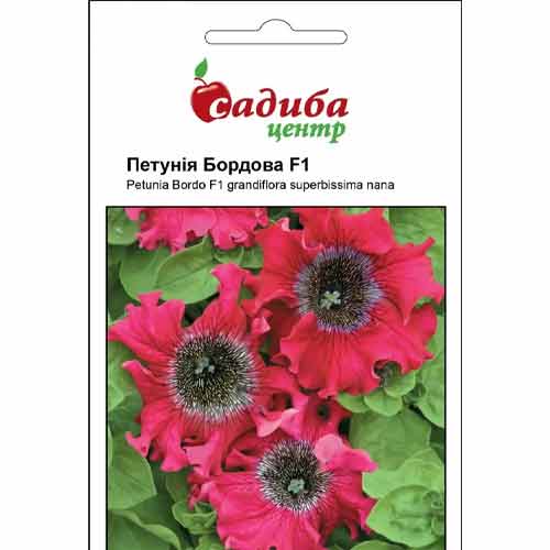 Петуния Бордовая бахромчатая F1 Садиба центр артикул фото 1 Петуния Бордовая бахромчатая F1 Садиба центр рисунок 1 артикул 89556
