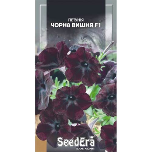 Петуния Черная вишня F1 Seedera рисунок 1 артикул 89983