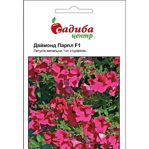Петунія Даймонд Парпл F1 Садиба центр зображення 1 артикул 72769
