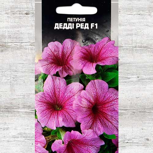 Петуния Дэдди Ред F1 рисунок 1 артикул 89967