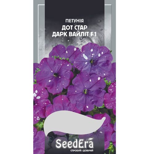 Петунія Дот Стар Дарк Вайліт F1 Seedera зображення 1 артикул 89968