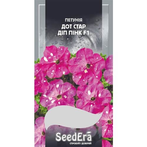 Петунія Дот Стар Діп Пінк F1 Seedera зображення 1 артикул 89969