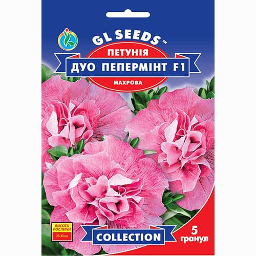 Петуния Дуо Пепперминт F1 GL Seeds рисунок 1 артикул 99512