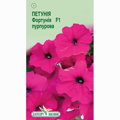 Петунія Фортунія пурпурова F1 Елітсорт зображення 1 артикул 90607