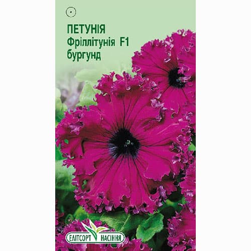 Петунія Фріллітунія Бургунді F1 Елітсорт зображення 1 артикул 90610