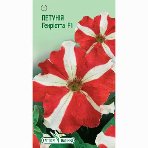 Петуния Генриетта F1 Элитсорт рисунок 1 артикул 90594