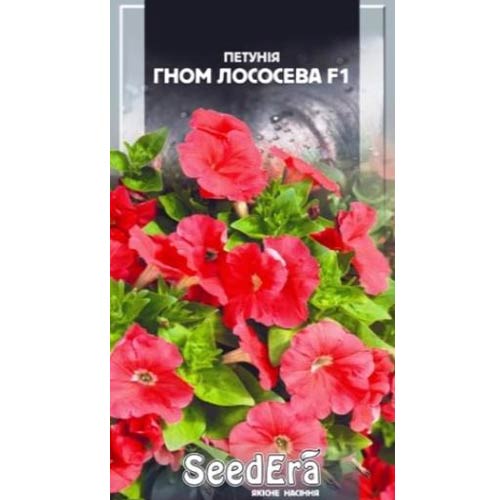 Петунія Гном лососева F1 Seedera зображення 1 артикул 72467