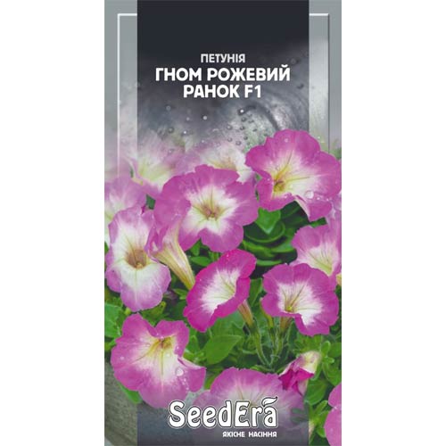 Петуния Гном Розовое утро F1 Seedera рисунок 1 артикул 72468