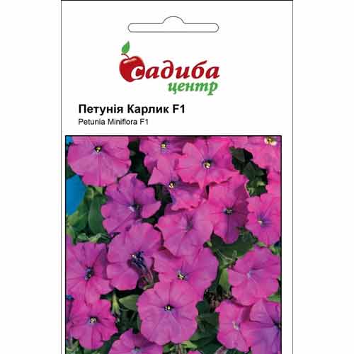 Петунія Карлик фіолетова F1 Садиба центр зображення 1 артикул 89566