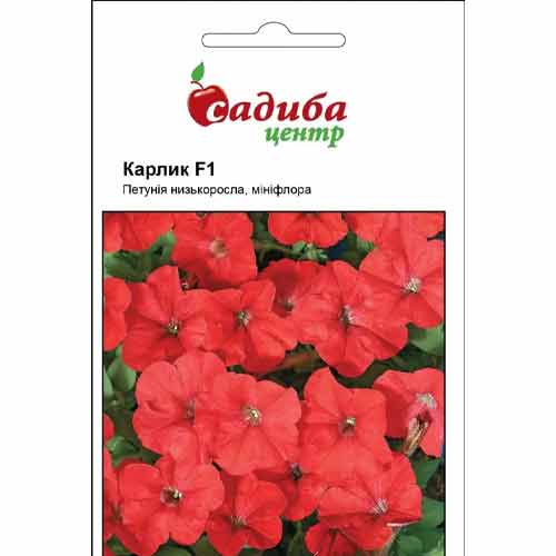 Петуния Карлик красная F1 Садиба центр рисунок 1 артикул 89567