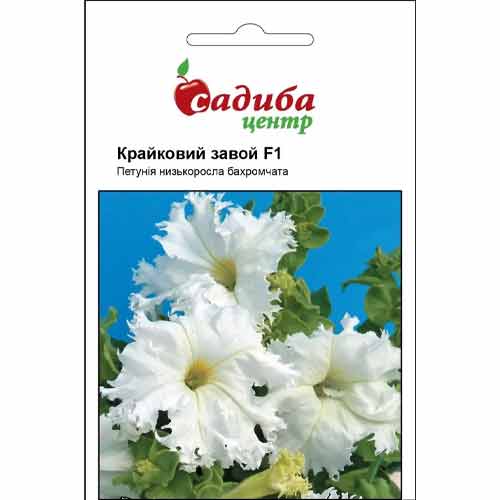 Петунія Крайковий завой F1 Садиба центр зображення 1 артикул 89568