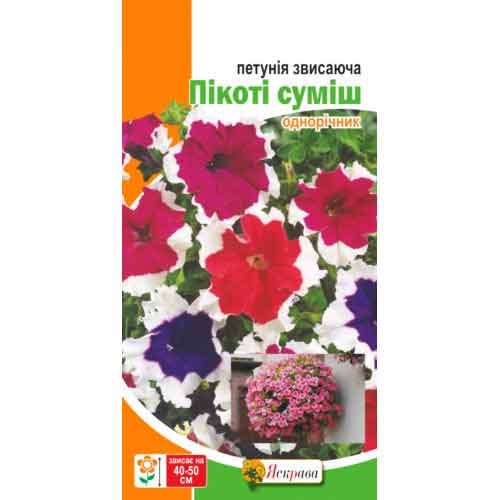 Петуния Пикоти, смесь окрасок Яскрава артикул фото 1 Петуния Пикоти, смесь окрасок Яскрава рисунок 1 артикул 72464