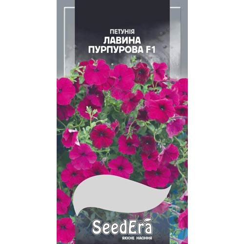 Петуния Лавина пурпурная F1 Seedera рисунок 1 артикул 77080