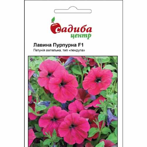 Петунія Лавина пурпурна F1 Садиба центр артикул фото 1 Петунія Лавина пурпурна F1 Садиба центр зображення 1 артикул 89570
