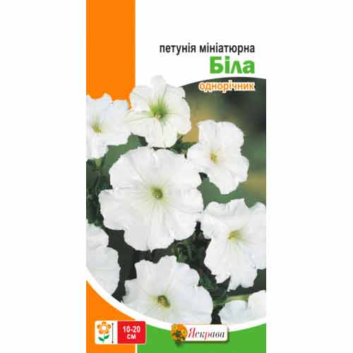 Петунія мініатюрна біла Яскрава зображення 1 артикул 77083
