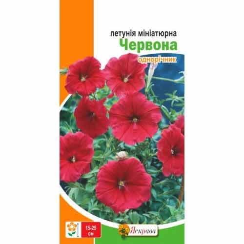 Петунія мініатюрна червона Яскрава артикул фото 1 Петунія мініатюрна червона Яскрава зображення 1 артикул 77087