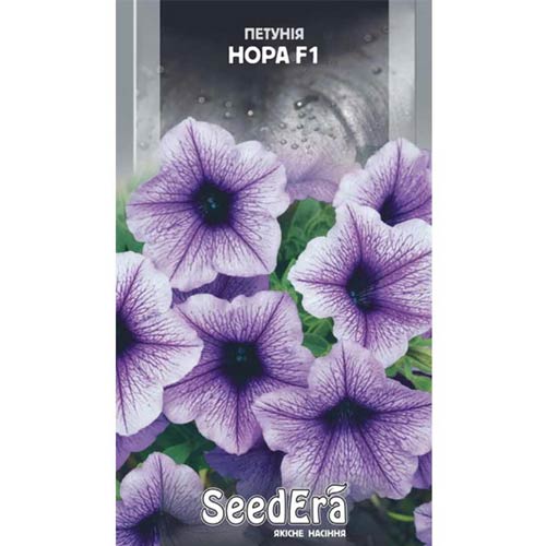 Петуния Нора F1 Seedera рисунок 1 артикул 77090