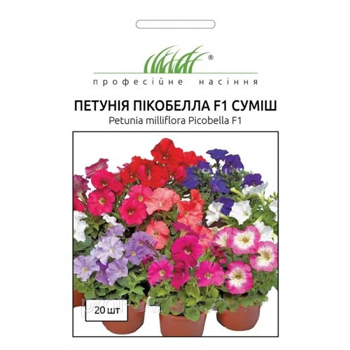 Петунія Пікобелла F1, суміш забарвлень Професійне насіння артикул фото 1 Петунія Пікобелла F1, суміш забарвлень Професійне насіння зображення 1 артикул 72480
