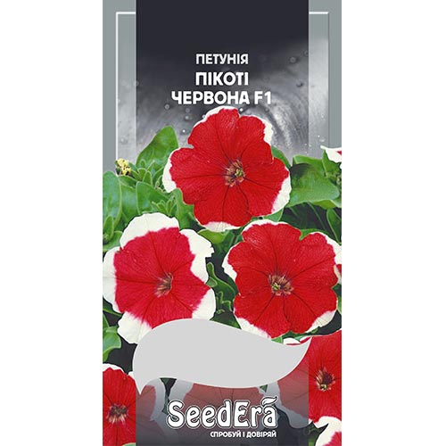 Петунія Пікоті червона F1 Seedera зображення 1 артикул 94982
