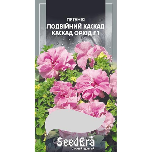 Петуния Суперкаскадная Охрид F1 Seedera рисунок 1 артикул 94984