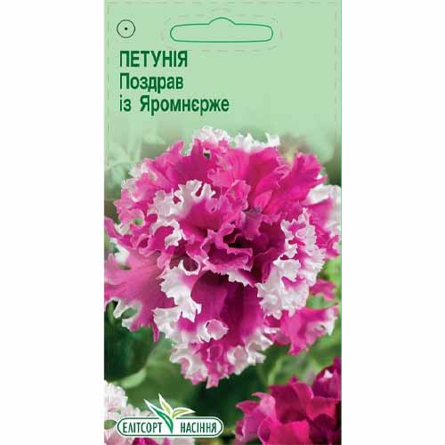Петунія Поздрав із Яромнєрже Елітсорт зображення 1 артикул 85963