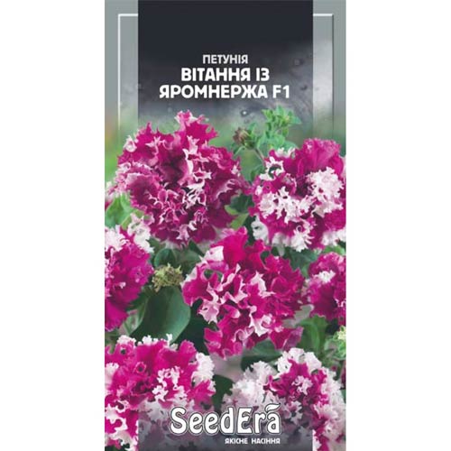 Петунія Вітання із Яромнержа F1 Seedera зображення 1 артикул 77075