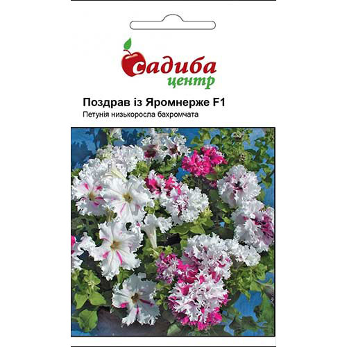 Петуния Поздравления из Яромнержа F1 Садыба центр рисунок 1 артикул 89560