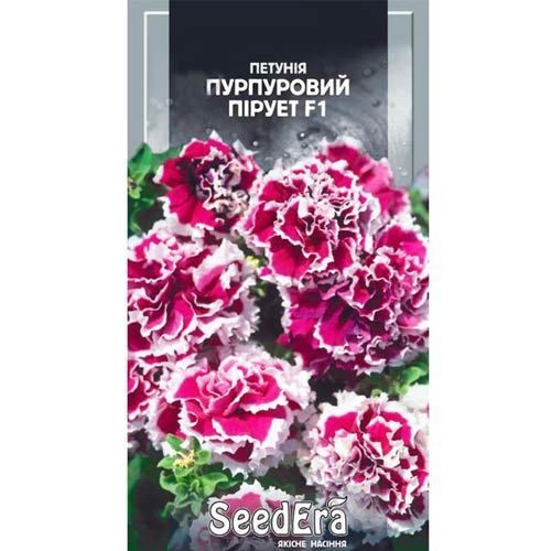 Петунія Пурпурний Пірует F1 Seedera зображення 1 артикул 66436