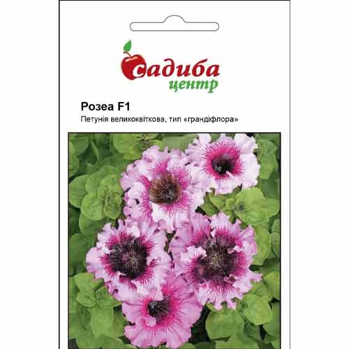 Петуния Розеа F1 Садыба центр рисунок 1 артикул 89605