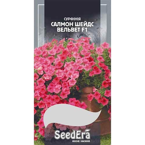 Петунія Салмон Шейдс Вельвет F1 Seedera артикул фото 1 Петунія Салмон Шейдс Вельвет F1 Seedera зображення 1 артикул 89978