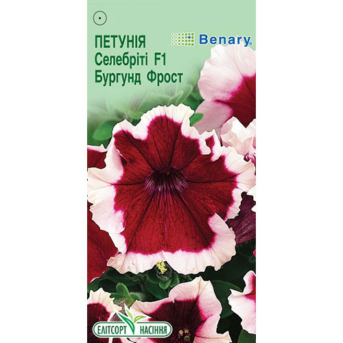 Петуния Селебрити Бургунди Фрост F1 Элитсорт артикул фото 1 Петуния Селебрити Бургунди Фрост F1 Элитсорт рисунок 1 артикул 90602