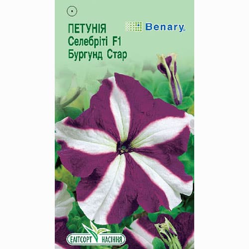 Петунія Селебріті Бургунді Стар F1 Елітсорт артикул фото 1 Петунія Селебріті Бургунді Стар F1 Елітсорт зображення 1 артикул 90601