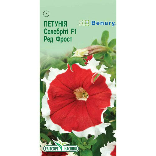 Петуния Селебрити Ред Фрост F1 Элитсорт артикул фото 1 Петуния Селебрити Ред Фрост F1 Элитсорт рисунок 1 артикул 90603