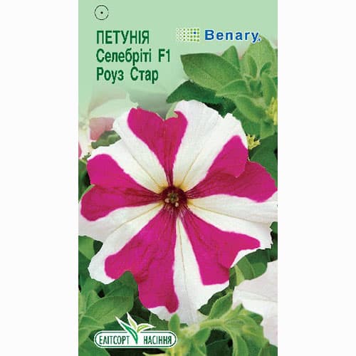 Петунія Селебріті Роуз Стар F1 Елітсорт зображення 1 артикул 90604