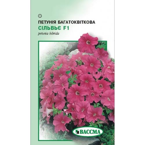 Петуния Сильвия F1 Seedera рисунок 1 артикул 77091