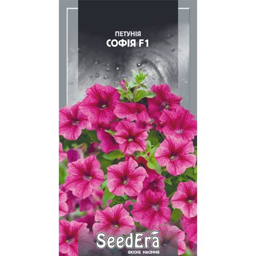 Петуния София F1 Seedera рисунок 1 артикул 66438