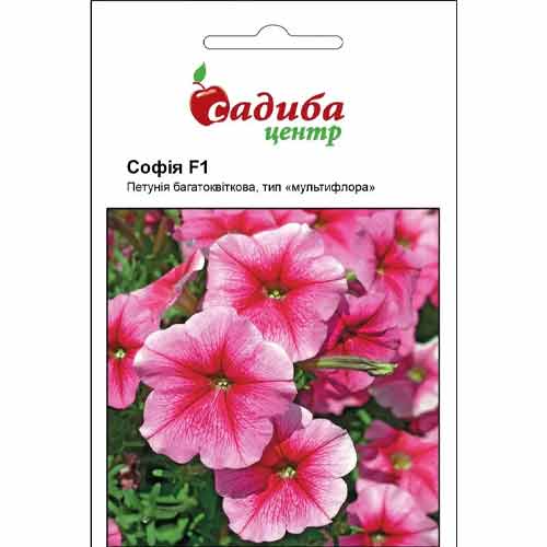 Петунія Софія F1 Садиба центр зображення 1 артикул 89607