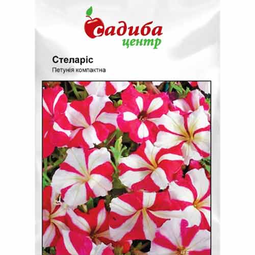 Петуния Стеларис Садыба центр рисунок 1 артикул 89608