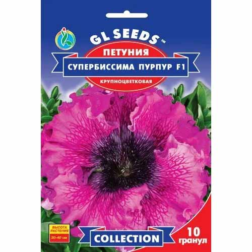Петуния Супербисима Пурпур F1 GL Seeds артикул фото 1 Петуния Супербисима Пурпур F1 GL Seeds рисунок 1 артикул 85863